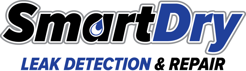 SMART LEAK DETECTION LOGO